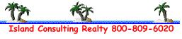 Island Consulting Realty